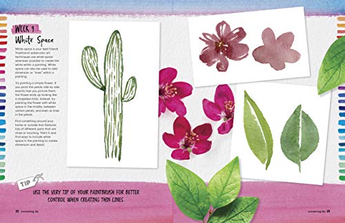 Your Year in Art: Watercolor: A Project for Every Week of the Year to Inspire Creative Exploration i