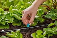 Gardena Micro-Drip-System Kleinflächendüse: Sprühdüse für automatisches Bewässerungssystem, für Kleinflächen bis 40 cm Durchmesser, einfache Verbindung mit 4,6 mm Verteilerrohr (13316-20) – Ansicht 6