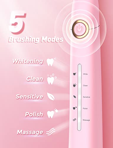 Teetheory Sonic Electric Toothbrush For Adults, Power Electric Toothbrush With 8 Brush Heads, 40000 Vpm Deep Clean 5 Modes, Rechargeable Toothbrushes Fast Charge (8 Brush Heads, Pink) #TOP4