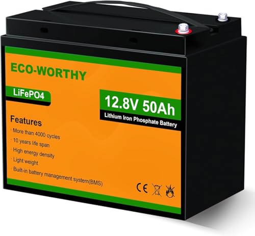 ECO-WORTHY Bateria LiFePO4 12V 50Ah con protección 50A BMS y 4000-15000 ciclos, 640Wh bateria Litio...