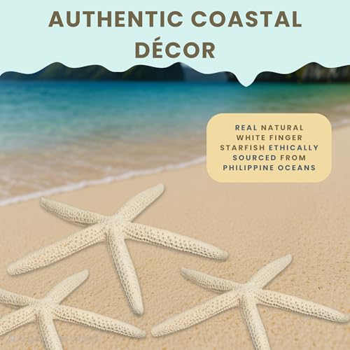 Nautical Crush Trading Starfish Decor - Star Fish for Craft - 10pk Real 6-8" White Sea Stars - Beach Wedding Decor - Coastal Party Decorations - Seashell Décor