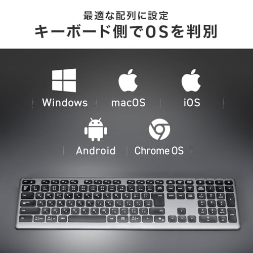 サンワダイレクト ワイヤレスキーボード Bluetooth 2.4GHz パンタグラフ フルサイズ 日本語配列 充電式 マルチペアリング 3台 400-SKB082