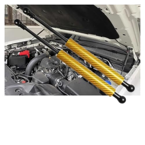 Vérin de capot de qualité pour Ford Ranger T6 carbone violet - 6