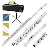 Yasisid Closed Hole C Flute 16 Keys Instrument for Student Beginners with Cleaning Kit, Stand, Carrying Case, Gloves and Tuning Rod