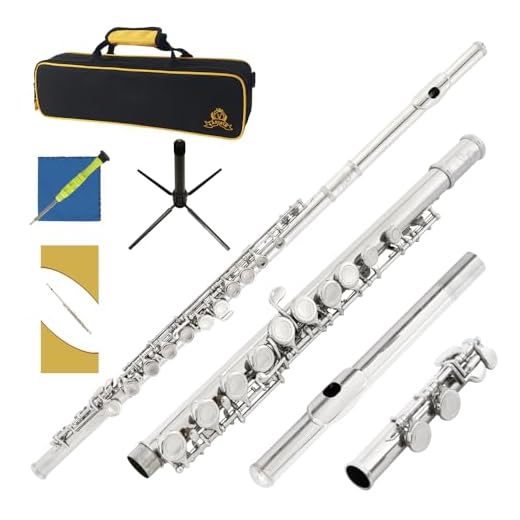 Yasisid Closed Hole C Flute 16 Keys Instrument for Student Beginners with Cleaning Kit, Stand, Carrying Case, Gloves and Tuning Rod