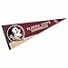 Florida State Seminoles Pennant Full Size Felt