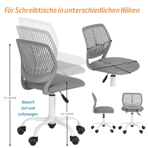 FurnitureR Friseurstuhl ergonomischer Drehstuhl ohne Armlehnen, höhenverstellbar, Netzrückenlehne, Metallfuß mit Rollen, 38x40cm Sitz, belastbar 130kg, für Salon & Spa, Dunkelgrau