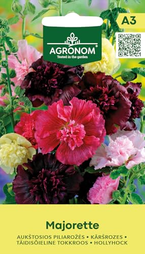 AGRONOM | Semillas de malva real - MAJORETTE | Semillas de flores | Semillas de plantas | Semillas de jardín | Plantas bienales de hasta 80 cm de altura | 1 paquete