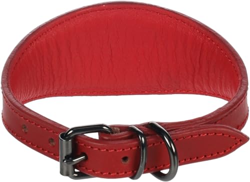 Halsband Denver Whippet ROT S/M 26-32CM 50MM