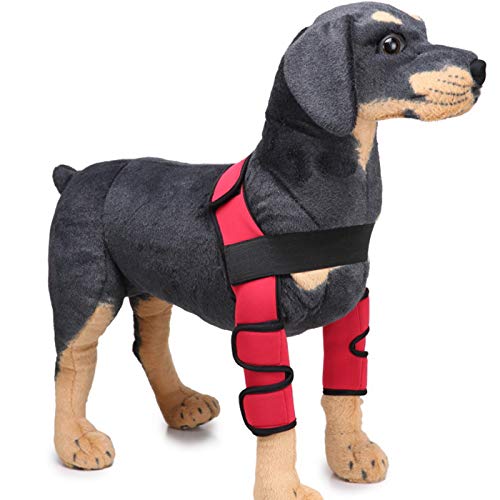 Alfie Pet - Tegan Dog Front Leg Braces with Supporting Sleeve - Color: