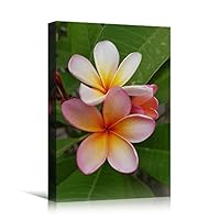 Canvas Wall Art Pink Fields Bohemian Colorful Floral Group Multicolor Photography - 12x18 inches