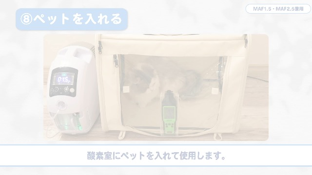 Amazon | 【獣医師監修】 犬・猫対応 ハイクラス 酸素発生器 ペット