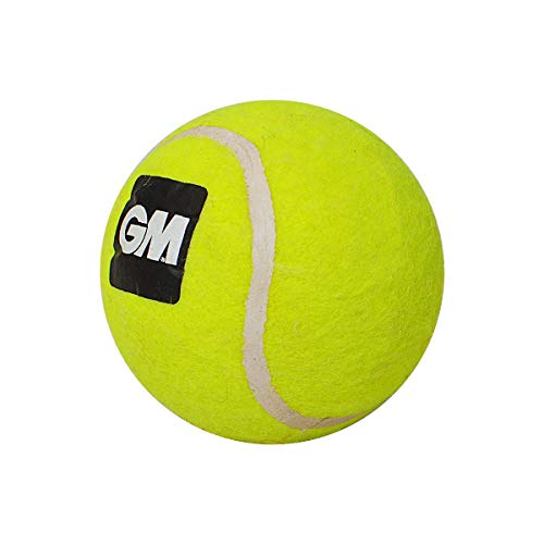 Image of GM Light Tennis Cricket Ball (Yellow)