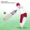 DSC Intense Force Kashmir Willow Cricket Bat for Leather Ball |Size-6 | Light Weight | Free Cover|