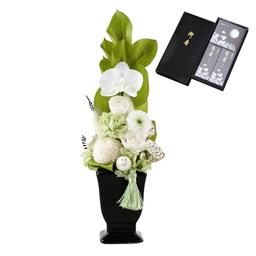 Ԃ܂肩   vU[uht[ 䂤     Zbg dp 蕨 (zCg TZbg)