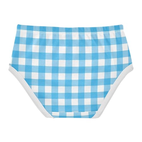 Blue White Buffalo Checkered Plaid Toddler Girls's Underwear 2T 23008732