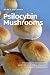 Psilocybin Mushrooms: The Guide to Cultivation, Safe Use and Magic Effects of Psychedelic Mushrooms