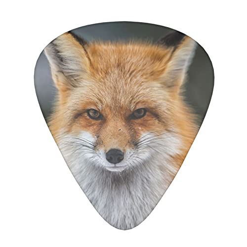 Fox Lot de 3 médiators en celluloïd coloré pour guitare basse, amateurs de musique, guitare, électrique et acoustique 0,46 mm, 0,71 mm, 0,96 mm - Les Beatles, Paul McCartney, John Lennon, RIngo Starr, George Harrison Fox Lot de 3 médiators en celluloïd coloré pour guitare basse, amateurs de musique, guitare, électrique et acoustique 0,46 mm, 0,71 mm, 0,96 mm
