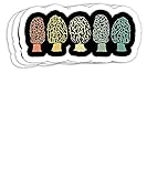 Morel Mushroom - Forest Morels Mushroom Hunters Idea Gift Decorations - 4x3 Vinyl Stickers, Laptop Decal, Water Bottle Sticker (Set of 3)