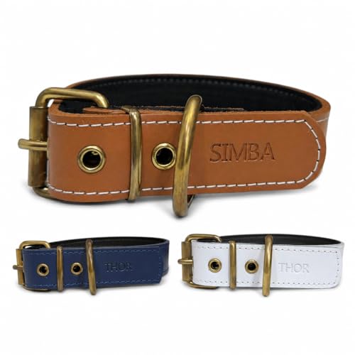 Personalisiertes Leder Hundehalsband mit Namensgravur, Gepolstert (Camel, L: Halsumfang 41- 51 cm)