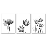 XIXISA Pintura Abstracta Flor de Blanco y Negro Pintura de Lienzo de Pared Cartel Carteles e Impresiones Cuadros de Pared para Dormitorio Lámina 50x70cm Sin Marco