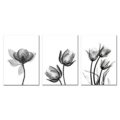 XIXISA Pintura Abstracta Flor de Blanco y Negro Pintura de Lienzo de Pared Cartel Carteles e Impresiones Cuadros de Pared para Dormitorio Lámina 50x70cm Sin Marco
