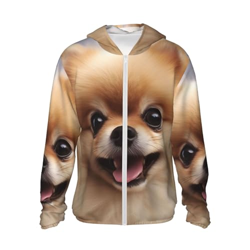Veste à capuche de Poméranie le vêtement doux et protecteur pour célébrer votre animal