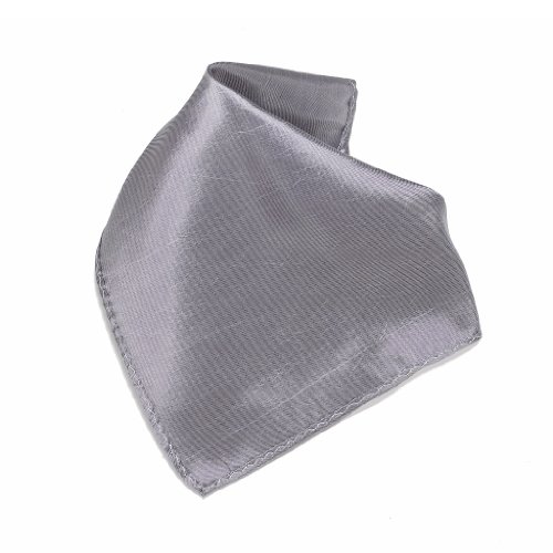 Vesuvio Napoli Shiny Graphite Silver Hankerchief Pocket Square Hanky Men's Handkerchiefs