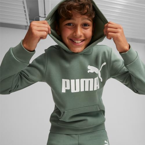 Image of Puma Boys Cotton Hooded Neck Sweatshirt