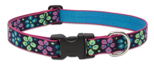 LupinePet Originals 1" Flower Power 12-20" Adjustable Collar for Medium and Larger Dogs