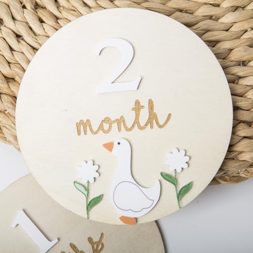 Image of Goose Monthly Milestone Cards - Wooden Discs & 3D Baby Monthly Milestone Signs for Baby Shower & Announcement