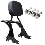 YHMOTO Dossier Passager Amovible pour Moto Sissy Bar et Porte Bagages avec kit de matériel d'accueil pour Harley Sportster XL 883 1200 2004 2024 (Noir)