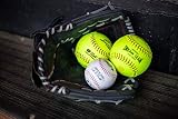 Rawlings Renegade Baseball/Softball Glove Series