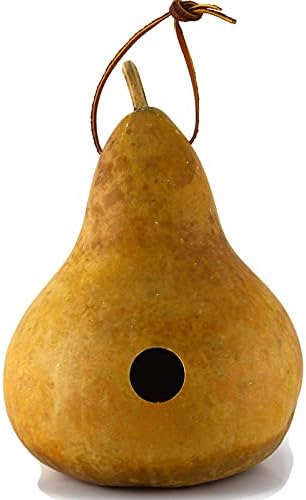 Gourd Birdhouse, Unfinished, Create Your Own Birdhouse