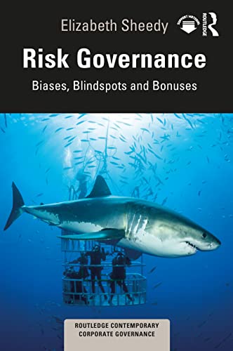 Risk Governance view 2