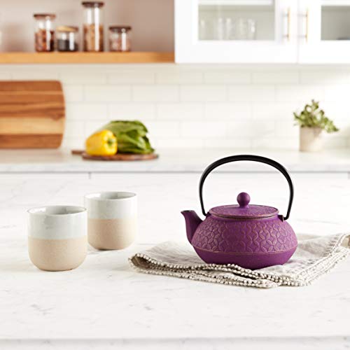 Iwachu Seven Jewels Design Japanese Iron Tetsubin Teapot, Gold And Purple #TOP5