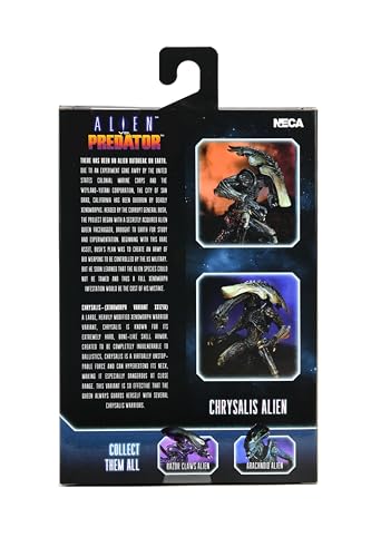 Reviews y listado de Alien vs predator los preferidos por los clientes. 3 Imagen adicional