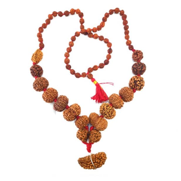 Astro Cart 1 to 14 Mukhi Rudraksha Mala सर्व सिद्धा रुद्राक्षा माला Original Certified Ek se Chaudah Mukhi Rudraksha Mala Gaurishankar Ganesh Rudraksh Japa एक से चौदह मुखी रुद्राक्ष माला