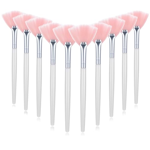 GEEHUA 10pcs Fan Facial Makeup Brushes