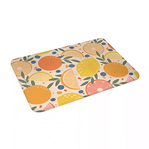 WAXB Paillasson d'impression 3D Blueberry Agrumes Paillasson Tapis Tapis Tapis Polyester Anti-Dérapant Sol Décor Bain Salle De Bains Cuisine Balcon Cover