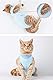 AEITPET Recovery Suit Katze, Haustiere Schutz Kleidung Wiederherstellung Anzug Weste, Verhindern Lecken Nach der Operation Tragen Weaning und Warmhalte Recovery Tuch Anzug für Katzen Hunde (L, Blau)