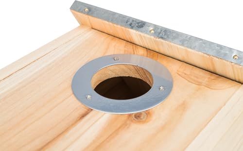 Image of Nest Box for Starlings, Pine Wood, 18 x 31 x 16 cm 4.5 cm