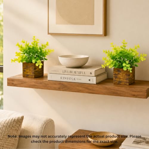 Image of DecoreBugs Artificial Eucalyptus Plant with Plastic Pot (Pack of 2) | 12 cm Height | Mini Potted Plants for Shelf Decor, Home, Office, Living Room, Desk & Table Item Decoration