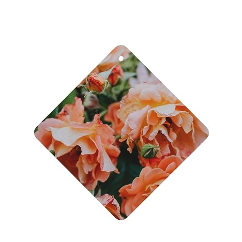 ỏ ԗpF p[\iCYꂽXCX J[A}Zs[^ubg ݂艺F܃J[h [vt 4 ԂƂ̑p