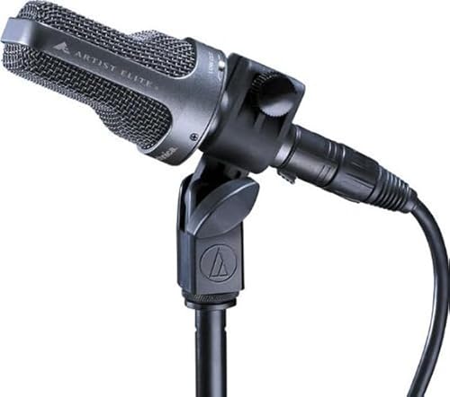 Audio-Technica AE3000 Cardioid Condenser Instrument Microphone thumb #1