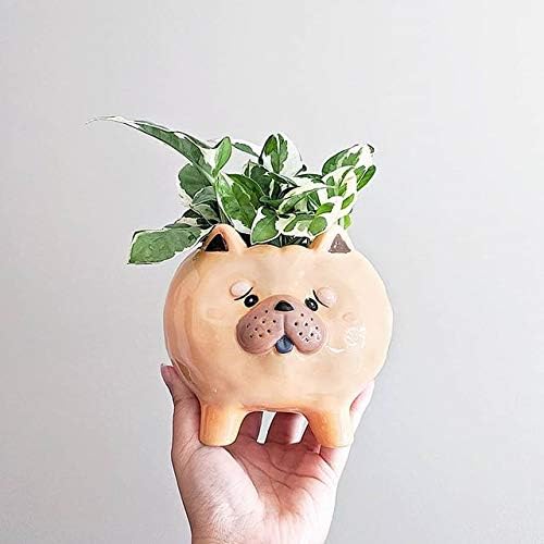 Succulent Pots with Drainage - Small Succulent Planter Handmade Original Ceramic Plant Pot Indoor - Mini Pots for Plants Flower Cactus - Home Kitchen Desk Garden Decor (Puppy Single F (Chow Chow))