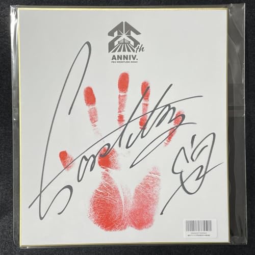 両国大会限定 選手直筆サイン入り手形色紙 佐々木憂流迦 Noah プロレス ノアのサムネイル