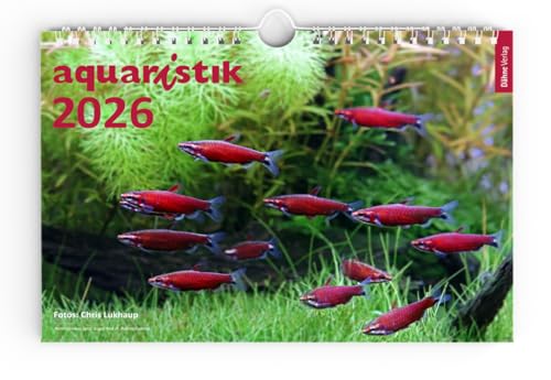 aquaristik 2026 - Foto-Wandkalender