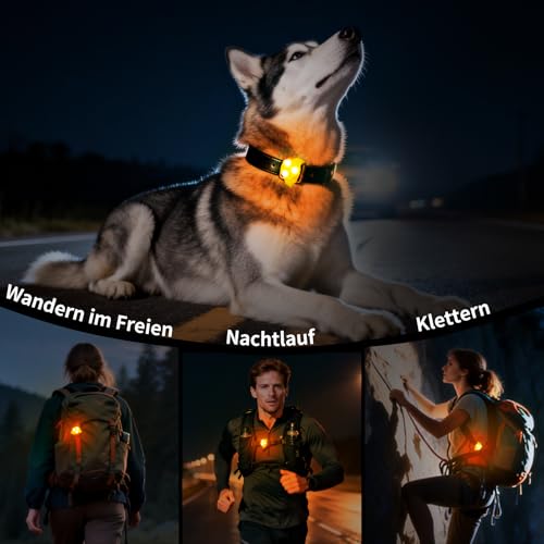 LaRoo Sicherheits LED Leuchtband für Hunde Katzen,LED Licht Blinklicht mit Klettverschluss, Einfach an Halsband Leine und Geschirr zu Befestigen