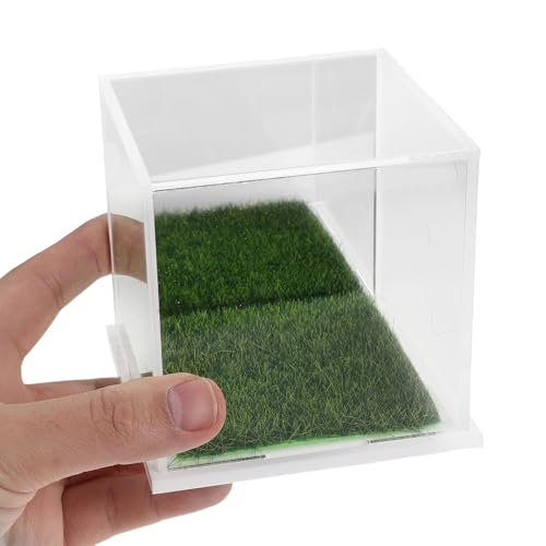 Caja de acrílico transparente para balones de fútbol y vitrinas de tiendas 4